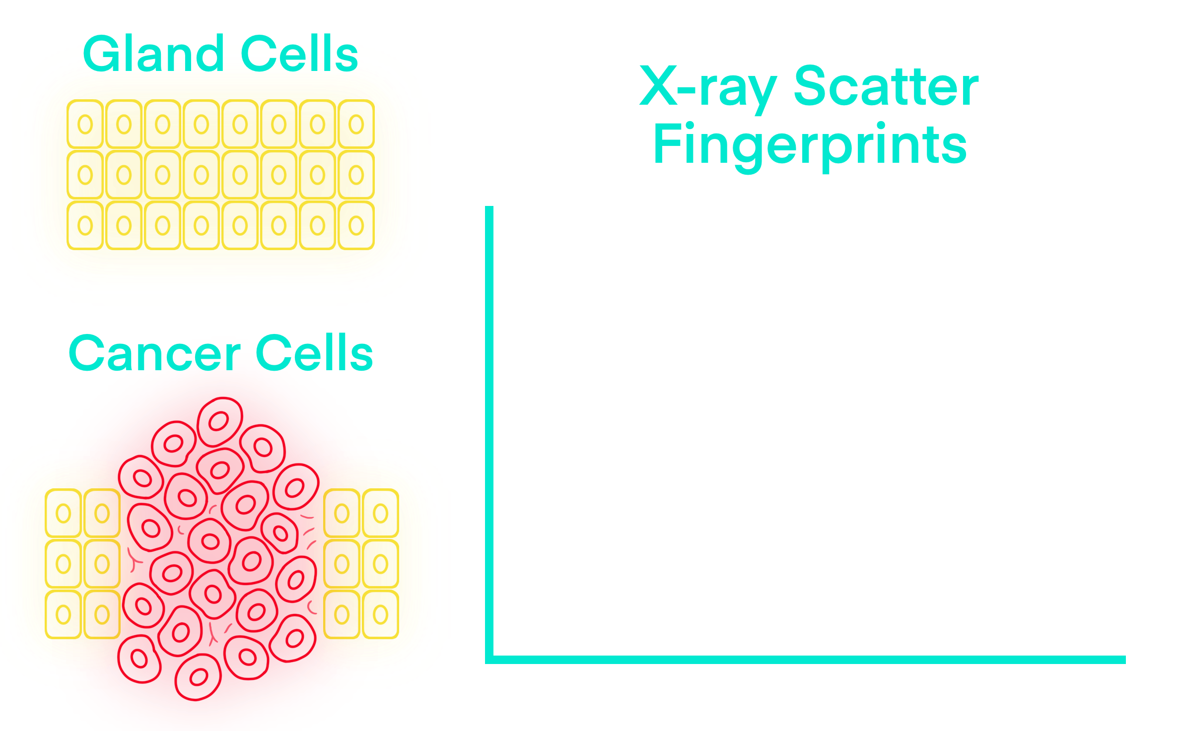 Scatter signatures base